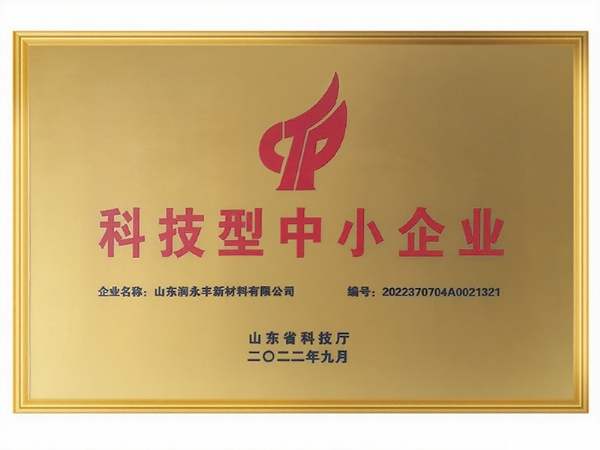 科技型中小企業(yè)